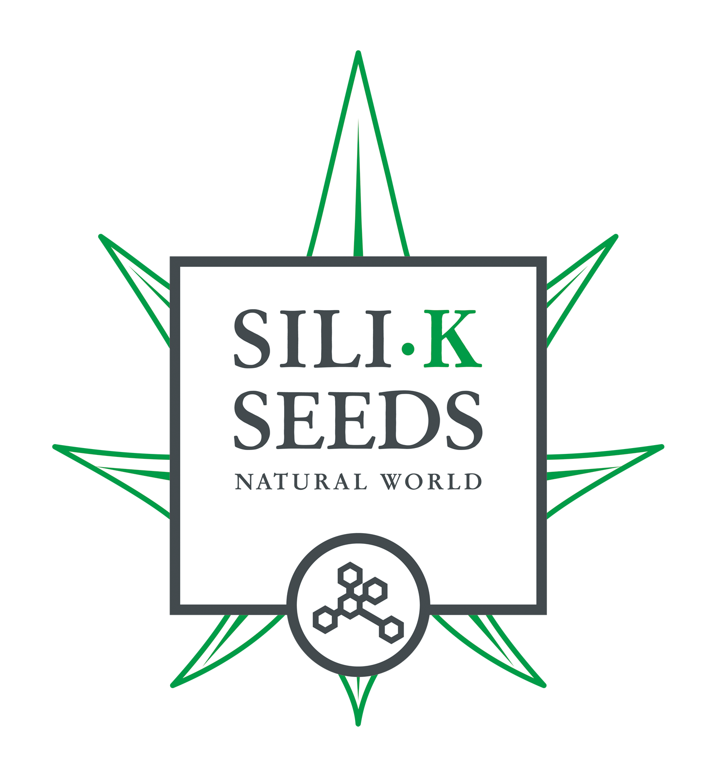 Logo Silikseeds